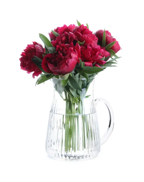 Bouquet Beautiful Red Peonies Glass Jug Isolated White — Stock Photo, Image