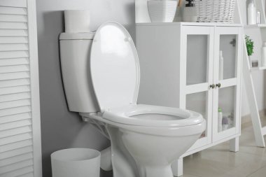 Modern banyo içinde şık bir klozet.