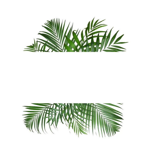 Рамка Красивых Пышных Тропических Листьев Белом Фоне Вид Сверху Пространство — стоковое фото