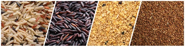 Colección Diferentes Granos Cereales Como Fondo Diseño Banner —  Fotos de Stock