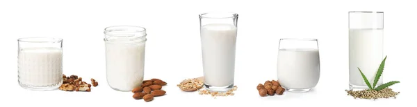 Set Different Types Organic Milk White Background Banner Design — Stock Photo, Image