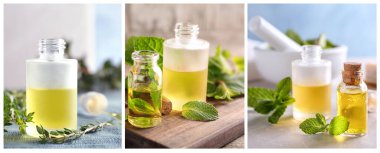 Gerekli yağlar ve bitkilerle farklı fotoğraflardan oluşan kolaj. Pankart tasarımı