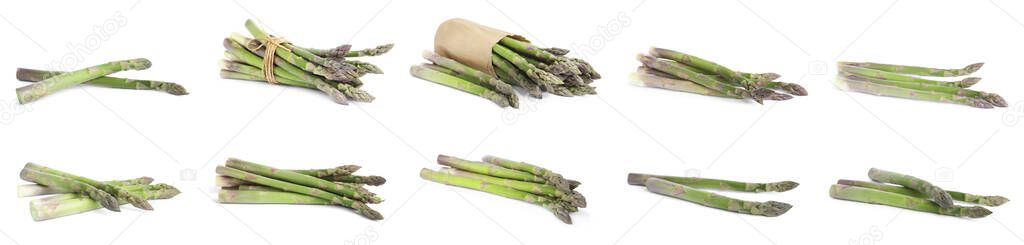 Set of fresh raw asparagus on white background. Banner design