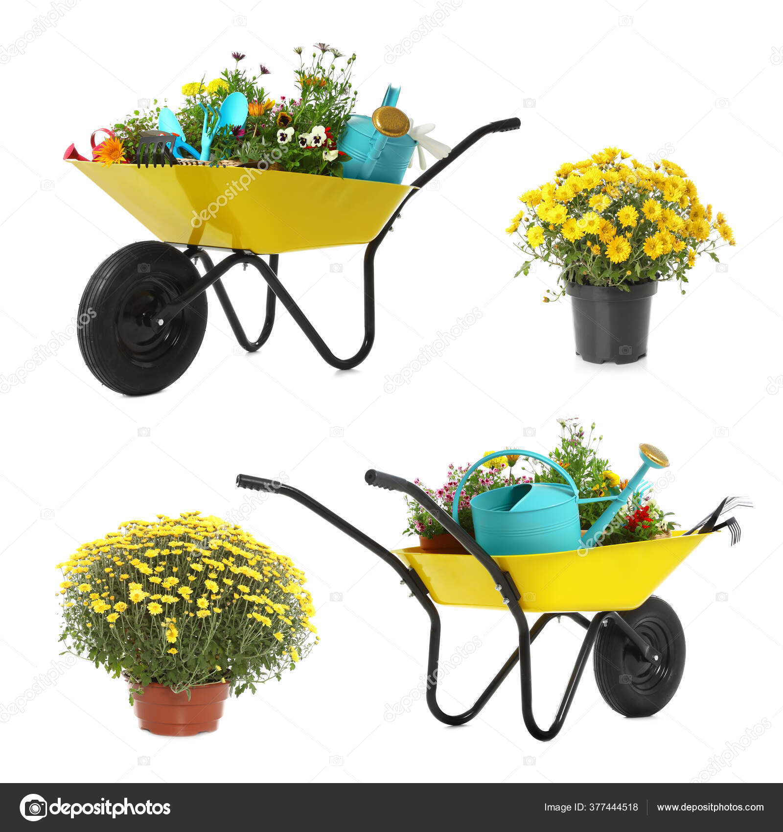 Set Avec Différents Outils Jardinage Brouettes Plantes Sur Fond Blanc
