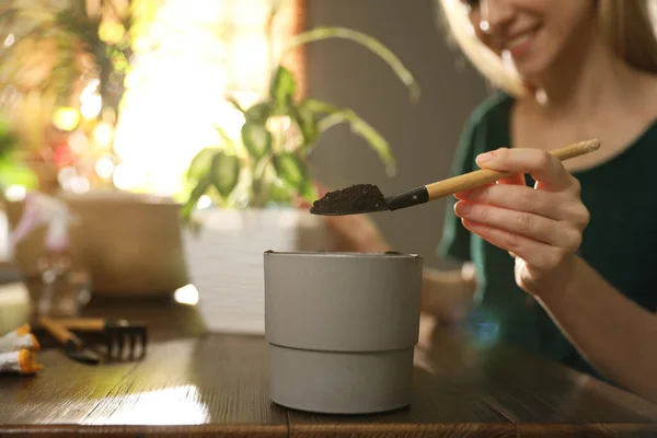 Junge Frau Die Sich Hause Pflanzen Kümmert Konzentriert Sich Mit — Stockfoto