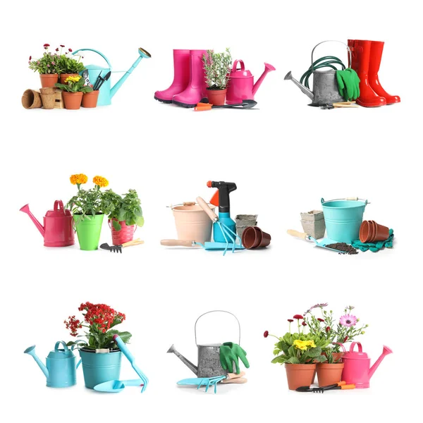 Set Con Diferentes Herramientas Jardinería Plantas Sobre Fondo Blanco —  Fotos de Stock