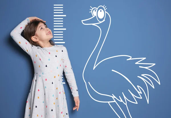 Menina Medindo Altura Desenho Avestruz Fundo Azul — Fotografia de Stock
