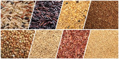 Arkaplan olarak farklı tahıl ve tahıl koleksiyonu. Pankart tasarımı