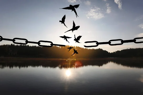 Concepto Libertad Siluetas Cadena Rota Pájaros Volando Aire Libre Atardecer — Foto de Stock