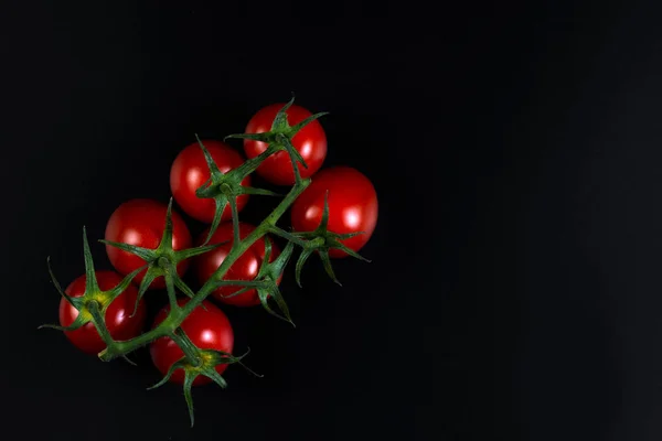 Jugoso Tomate Cereza Brillante Maduro — Foto de Stock