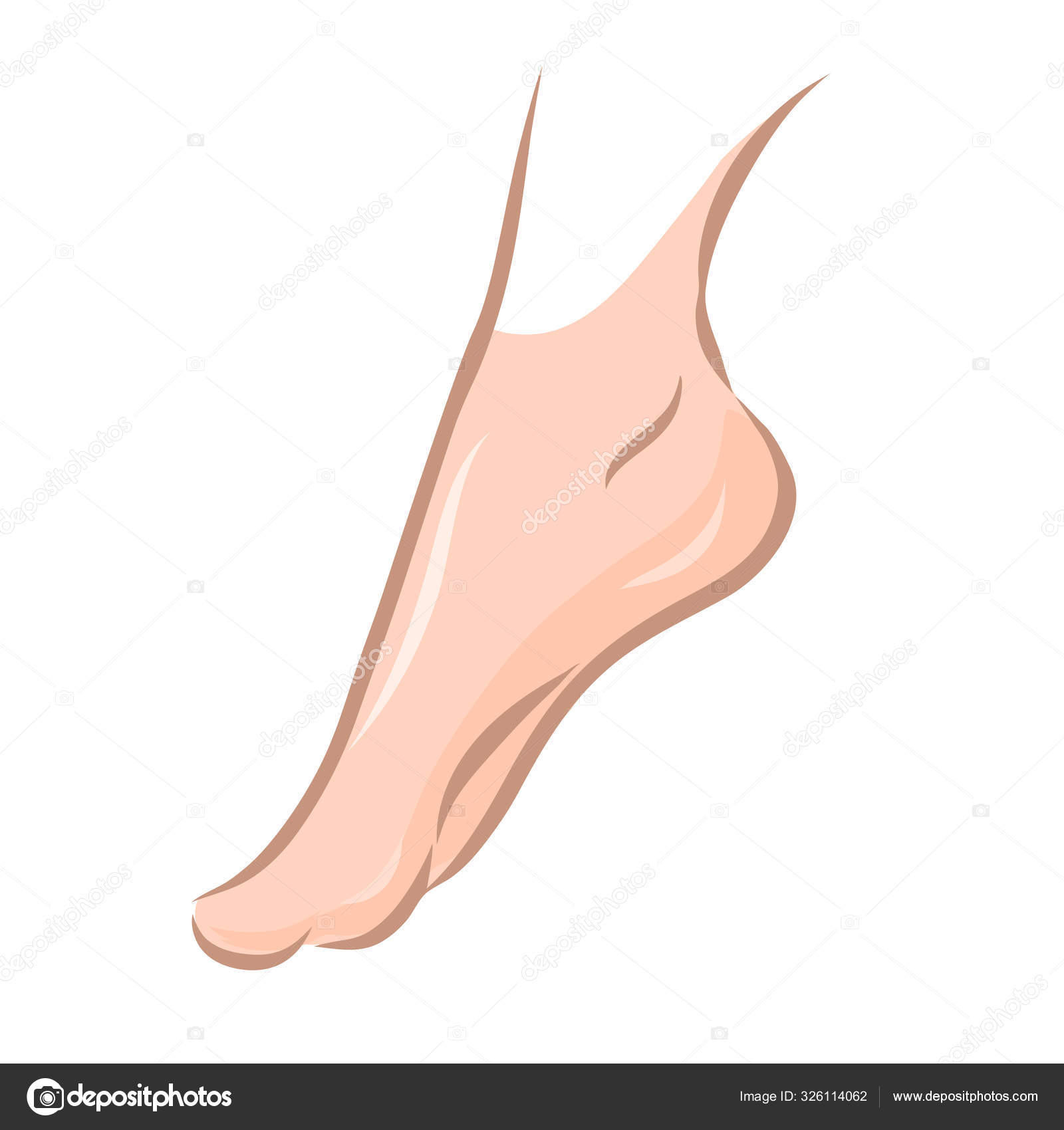 Drawing of a beautiful female Stock Vector by ©ognevmihail9