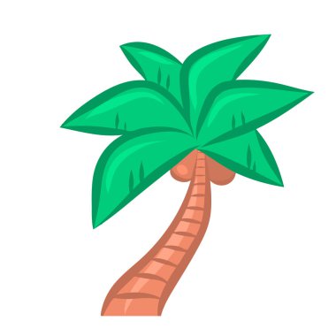 beyaz zemin üzerinde palmiye ağacı.