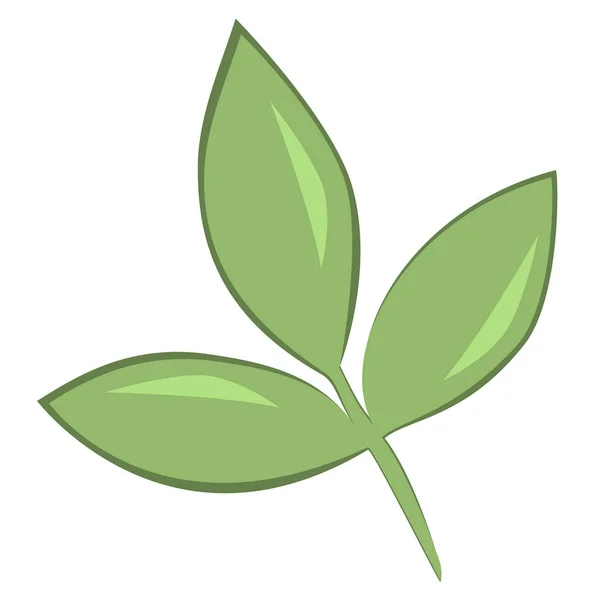 Grünes Dreifachblatt mit Konturen auf weißem Hintergrund. — Stockvektor