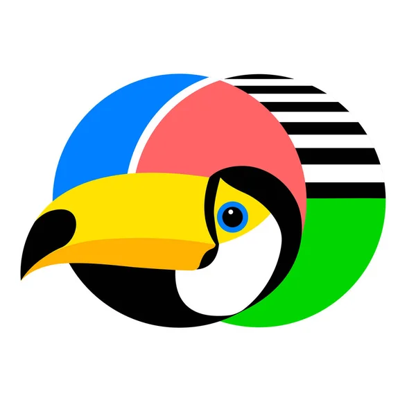 A colorful drawing of an exotic toucan bird with a patterned bac — 스톡 벡터