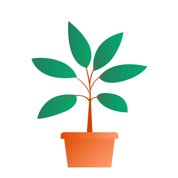 Groene Binnenplant Een Bruine Pot Geïsoleerd Object Voor Interieur Decoratie — Stockvector