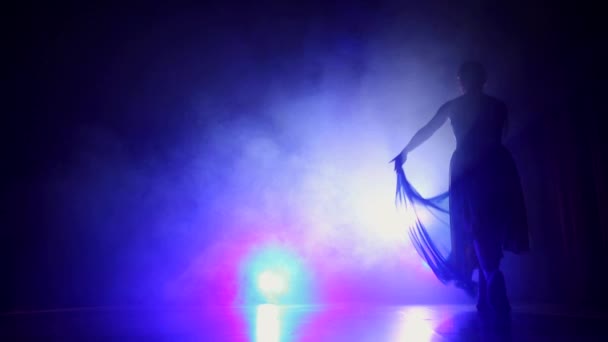 Elegante Ballet Clásico Escenario — Vídeo de stock