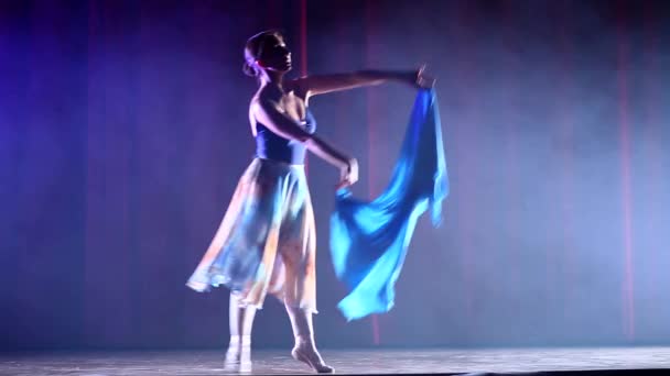 Kvinnor Ballerina Graciösa Slanka Ballerina Dans — Stockvideo