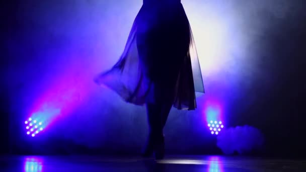 Ballet Meisje Benen Show Het Podium — Stockvideo