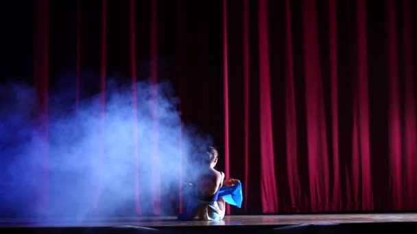 古典芭蕾舞芭蕾舞演员在尖角前表演 — 图库视频影像