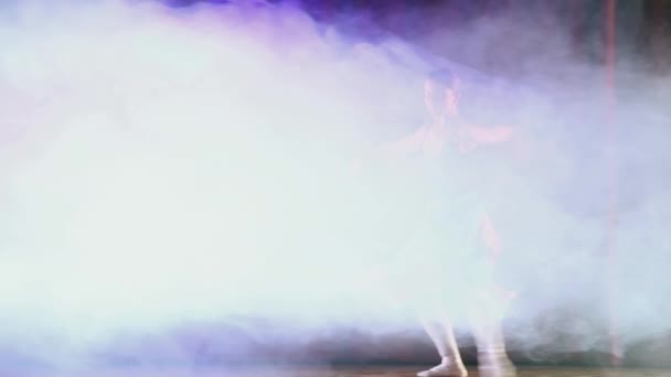 Een Eenzame Balletdanser Het Podium Draait Één Plek — Stockvideo