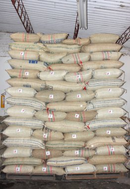 PITALITO, KOLOMBIA - 14 Şubat: bir palet üzerinde 60 kilo kahve poşetleri yığını. 14 Şubat 2013 Pitalito Kolombiya