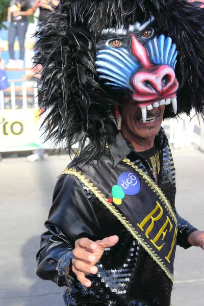 Барранкілья Колумбія Лютого Carnaval Del Bicentenario 200 Років Кармару Лютого — стокове фото