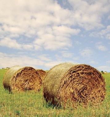 Kır manzaralı saman balyası