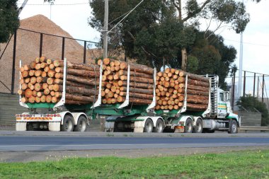 Kütüklerle dolu eklemli tırlar.