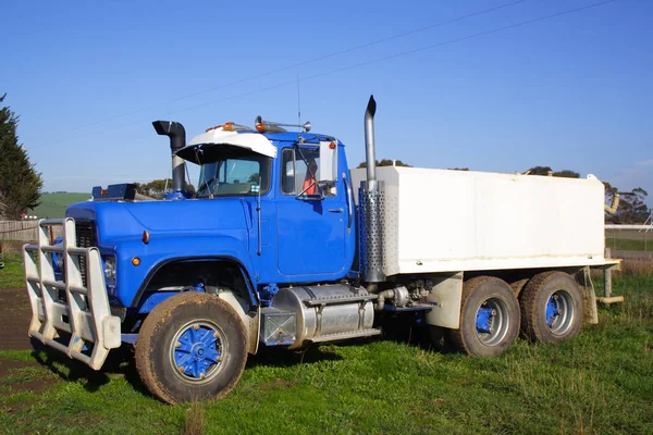 Kleiner Blauer Sattelzug Parkt Auf Gras — Stockfoto