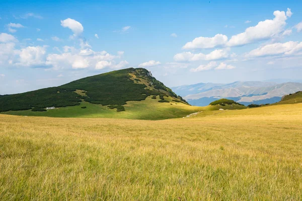 Sarı alan ve yeşil dağ - kırsal görünümü