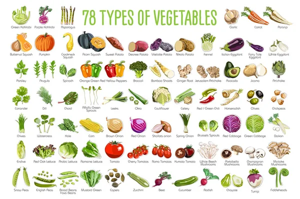 Grönsaker Ikoner Denna Kollektion Innehåller Ikoner Färgglada Grönsaker Rötter Och — Stock vektor