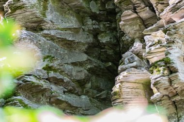 Zaitsev, Krasnosulinsky bölgesindeki Rostov bölgesinde kayalar, bitki örtüsü arasında yeşil ve nemli yosun büyüklüğünde taş doğal yapılar, yürümek için alışılmadık türler..