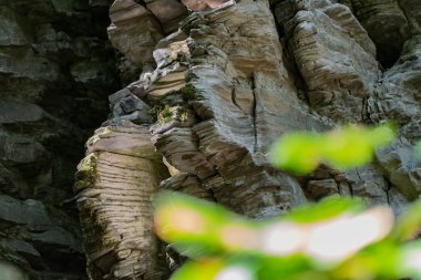 Zaitsev, Krasnosulinsky bölgesindeki Rostov bölgesinde kayalar, bitki örtüsü arasında yeşil ve nemli yosun büyüklüğünde taş doğal yapılar, yürümek için alışılmadık türler..