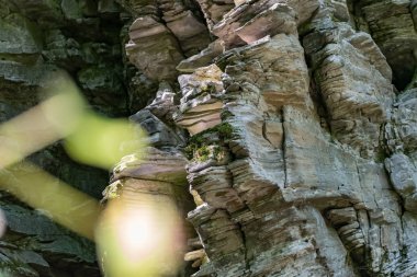 Zaitsev, Krasnosulinsky bölgesindeki Rostov bölgesinde kayalar, bitki örtüsü arasında yeşil ve nemli yosun büyüklüğünde taş doğal yapılar, yürümek için alışılmadık türler..