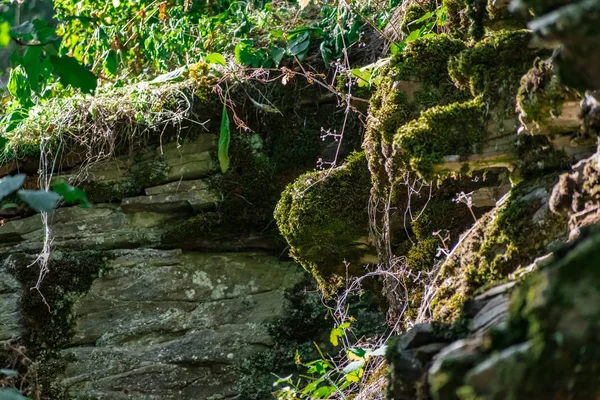 Rochas Zaitsev Região Rostov Distrito Krasnosulinsky Pedra Estruturas Naturais Grande — Fotografia de Stock