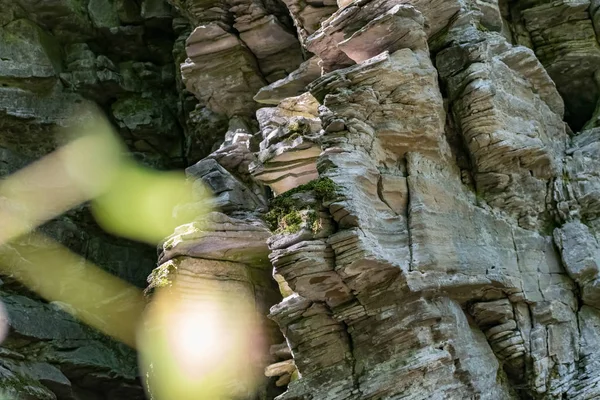 Zaitsev, Krasnosulinsky bölgesindeki Rostov bölgesinde kayalar, bitki örtüsü arasında yeşil ve nemli yosun büyüklüğünde taş doğal yapılar, yürümek için alışılmadık türler..