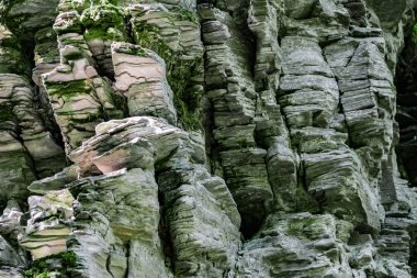 Zaitsev, Krasnosulinsky bölgesindeki Rostov bölgesinde kayalar, bitki örtüsü arasında yeşil ve nemli yosun büyüklüğünde taş doğal yapılar, yürümek için alışılmadık türler..