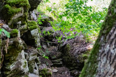 Zaitsev, Krasnosulinsky bölgesindeki Rostov bölgesinde kayalar, bitki örtüsü arasında yeşil ve nemli yosun büyüklüğünde taş doğal yapılar, yürümek için alışılmadık türler..