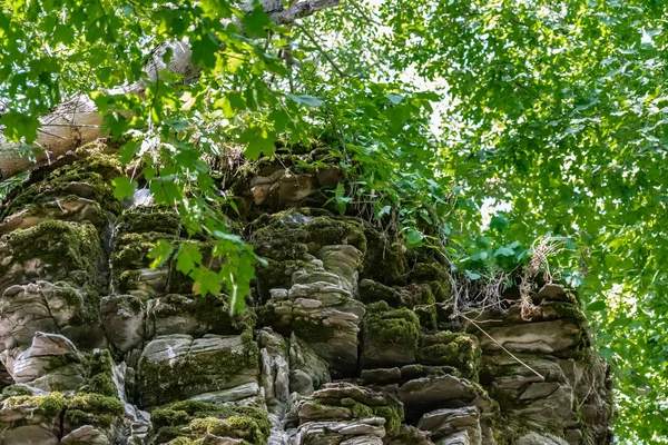 Krasnosulinsky区Rostov地区的Zaitsev岩石 大型石质自然结构 植被中的绿色和潮湿苔藓 不寻常的行走物种 — 图库照片