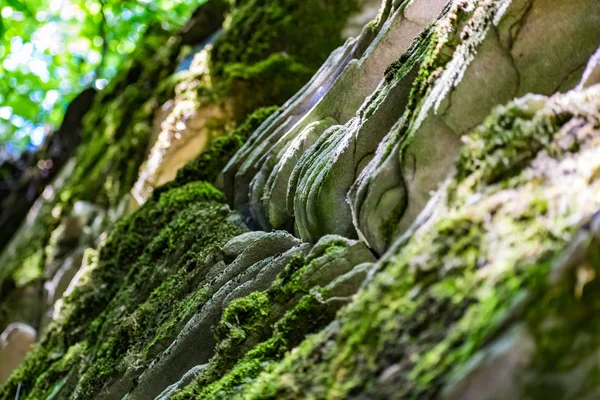 Rochas Zaitsev Região Rostov Distrito Krasnosulinsky Pedra Estruturas Naturais Grande — Fotografia de Stock