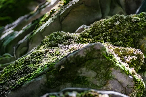 Rochas Zaitsev Região Rostov Distrito Krasnosulinsky Pedra Estruturas Naturais Grande — Fotografia de Stock