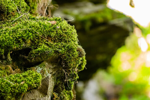 Зайцев скалы в Ростовской области в Красносулинском районе, каменные природные сооружения большого размера, зеленые и влажные мхи среди растительности, необычные виды для прогулок
.