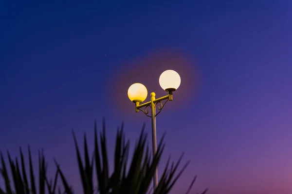 夕暮れ時と夜のウォーターフロントに明るくカラフルなライト 緑と黄色の光 青い星空 ロシア Divnomorskoye村 丸くて輝く玉 — ストック写真