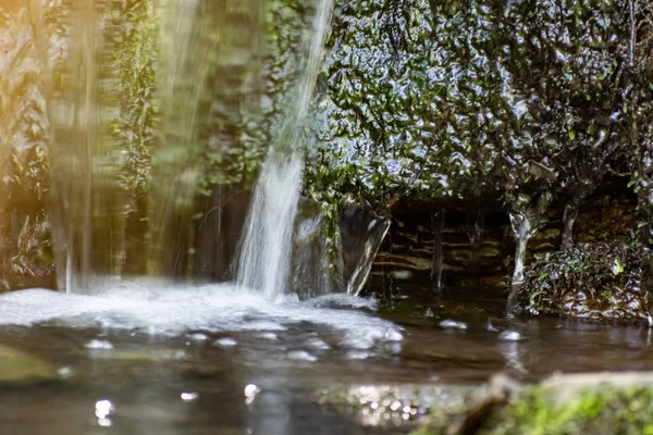 Uma Pequena Cachoeira Natural Floresta Entre Pedras Galhos Troncos Muita — Fotografia de Stock