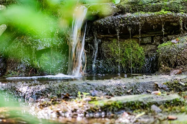 Uma Pequena Cachoeira Natural Floresta Entre Pedras Galhos Troncos Muita — Fotografia de Stock