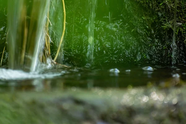 Uma Pequena Cachoeira Natural Floresta Entre Pedras Galhos Troncos Muita — Fotografia de Stock