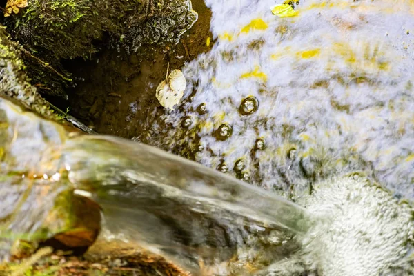 Uma Pequena Cachoeira Natural Floresta Entre Pedras Galhos Troncos Muita — Fotografia de Stock