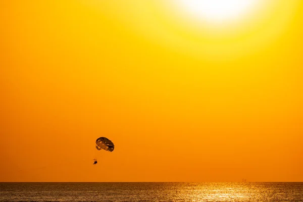 Silhouette Parachute Skydiver Background Bright Burning Sunset Sea Shining Sun — Stock Photo, Image