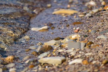 Tuzlu deniz suyunun kıyı dalgalarında büyük ve pürüzsüz taşlar. Karadeniz kıyıları, güneş ışığıyla aydınlatılan büyük bir çakıl taşına karşı kükreyen köpükler ve kükremeler.