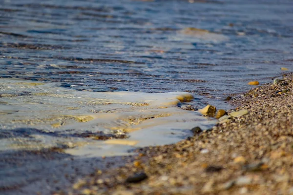 Large and smooth stones in the coastal waves of salty sea water. The coast of the black sea foams and roars, beating against a huge pebble, illuminated by sunlight